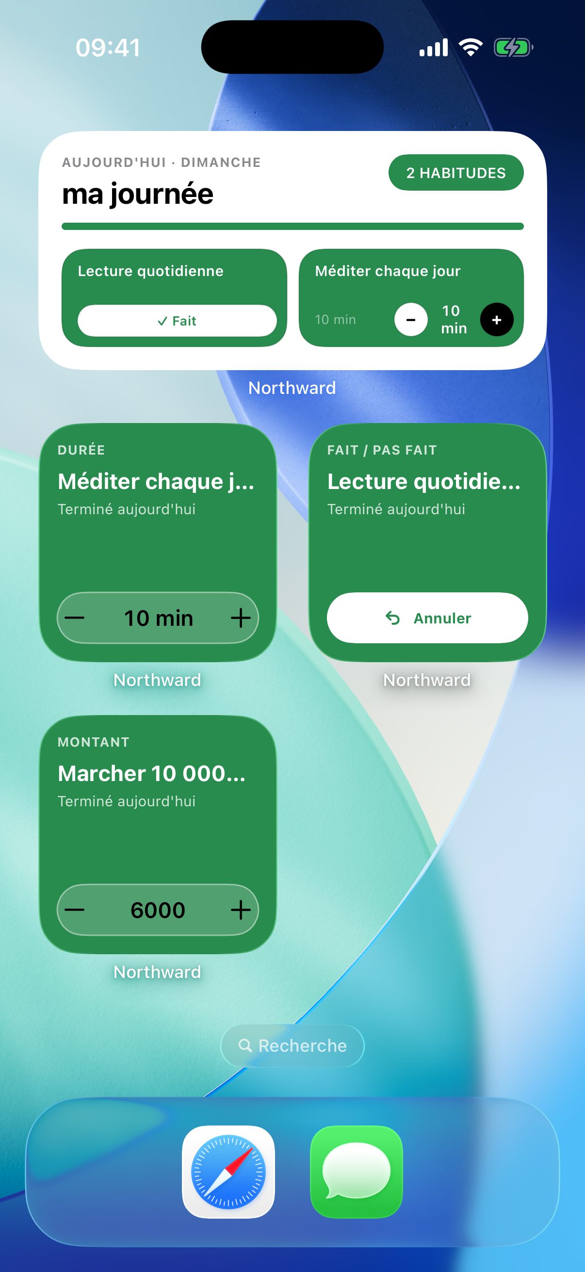 Northward Home Screen widgets