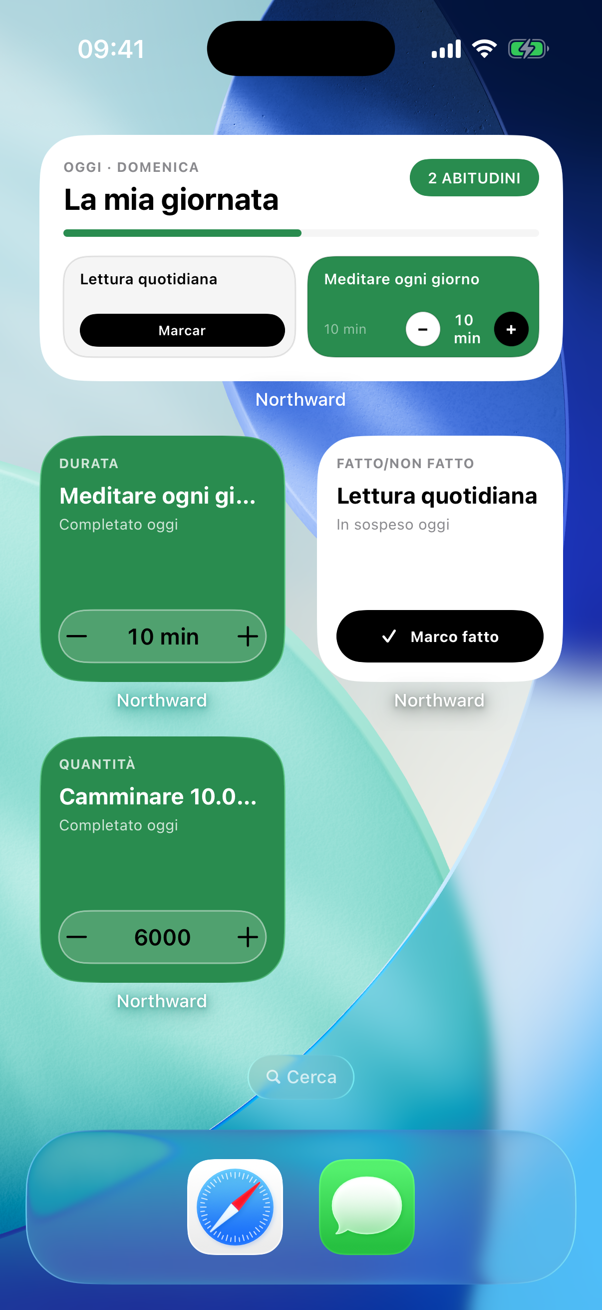 Northward Home Screen widgets