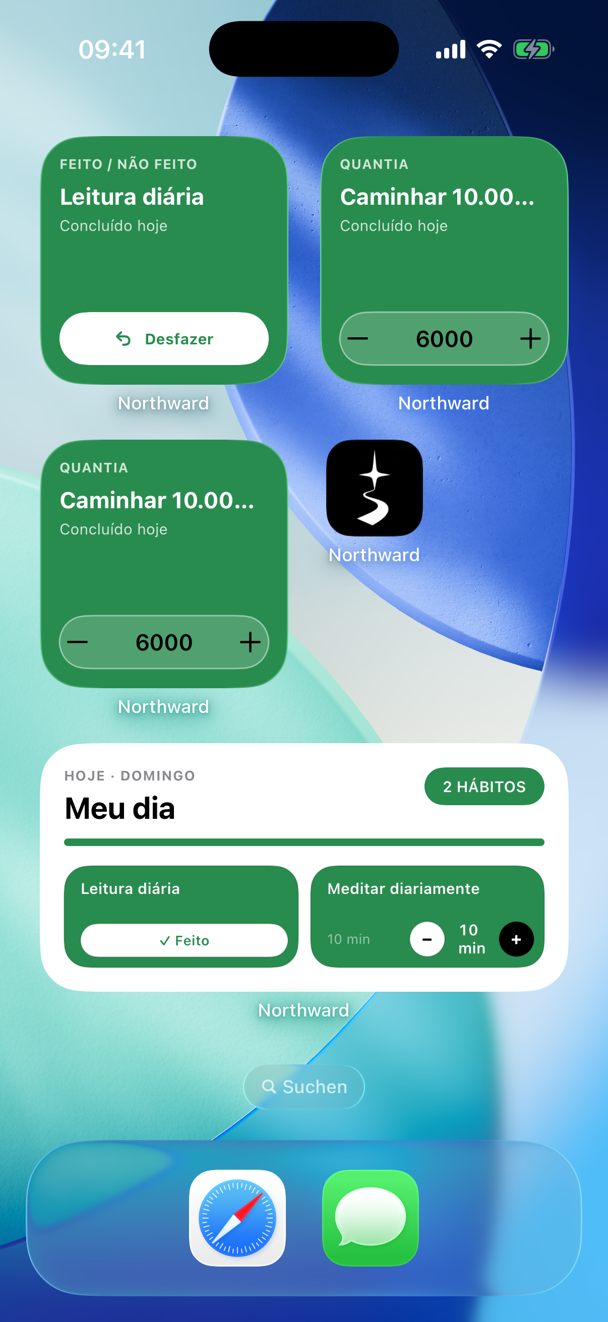 Northward Home Screen widgets